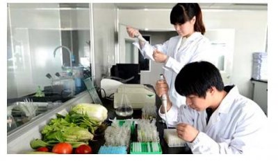  影视高考班 